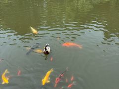 -白马涧龙池景区