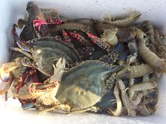 -山东八大碗山东老字号