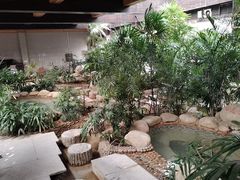 -三江森林温泉度假区