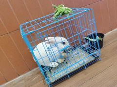 -毛头老爹饭店(上海长风大悦城店)