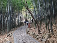 -穹窿山景区