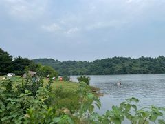 -南京市无想山景区