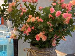 -汉水谣·江景餐厅(江滩店)