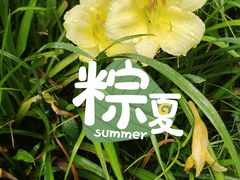 -上海佘山国家森林公园天马山园