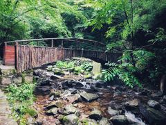 -青峰峡国家森林公园