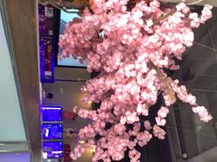 -乐园夜市场(五道口王庄路店)