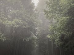 -山王坪喀斯特国家生态公园