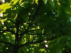 -重庆市奥林匹克体育中心-游泳跳水馆