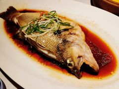 清蒸鲈鱼-大鸭梨烤鸭(枣园店)