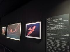 -罗红摄影艺术馆