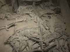 -北京大葆台遗址博物馆