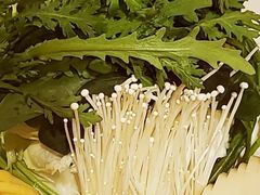 -蝎王府羊蝎子(北大地店)