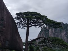 -黄山玉屏楼宾馆餐厅