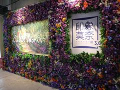 -印象莫奈时光映迹艺术展