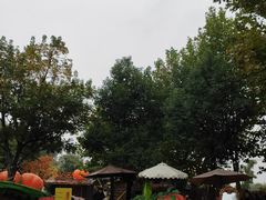 -HERRE·FARM 赫尔露营农场·团建聚会包场