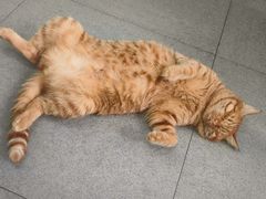 -毒蛇面馆(虹口店)