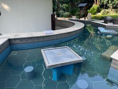 -苏州湾·王焰温泉