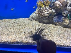 -广州海洋馆
