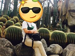 -南山植物园