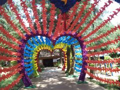 -北海金海湾红树林生态旅游区