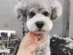 -宠福鑫康馨动物医院·骨科·眼科