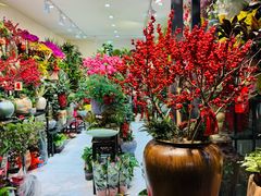 -溪岸路花鸟市场