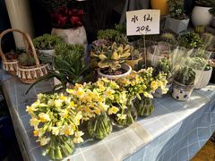 -循礼门鲜花花市(武汉循礼门店)