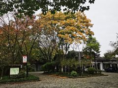 -西溪国家湿地公园