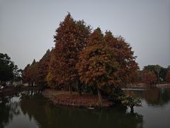 -厦门园林博览苑