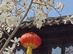 -上海醉白池公园