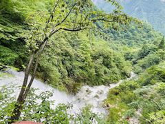 -鹿院坪生态旅游景区
