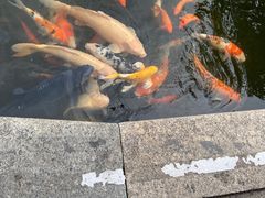 -晋江五店市传统文化旅游区