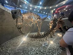 -国家自然博物馆