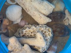 -三亚海棠湾万丽度假酒店