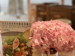 -WHEN PIGS FLY当猪飞