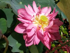 -龙环葡韵住宅式博物馆