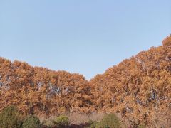 -河南省黄河迎宾馆