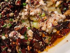 -三猫黑鱼花(南大店)