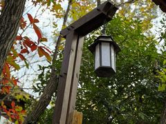 -天目湖涵田半山温泉