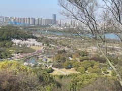 -苏州上方山国家森林公园