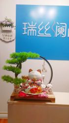 -瑞丝澜国际瘦身