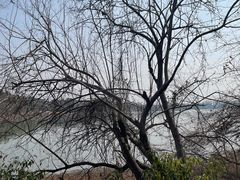 -东湖落雁景区