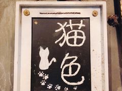 -猫色咖啡·猫咖