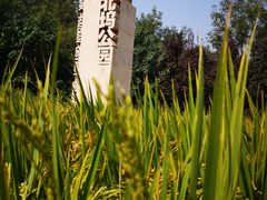 -北坞公园