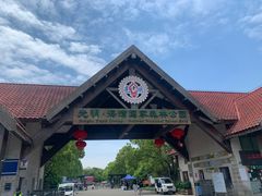 -上海海湾国家森林公园