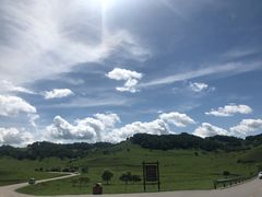 -关山草原