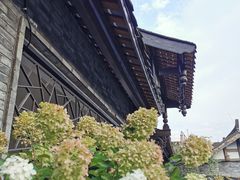 -星巴克臻选(成都宽窄巷子店)