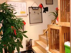 -宠物梦想家(日月豪庭店)