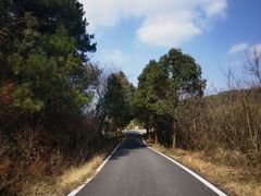 -黄陂区野村谷景区