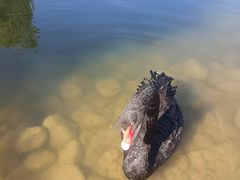 -鄂尔多斯野生动物园